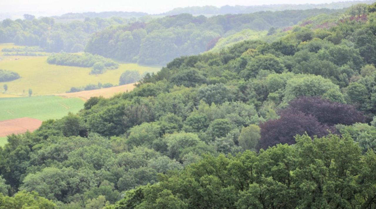 De La Ruïne Valkenburg aan de Geul